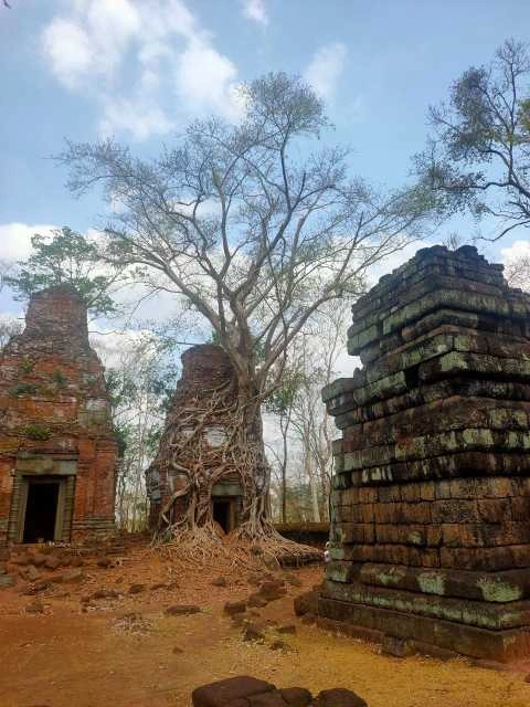 Tempio Prasat Pram nel complesso di Koh Ker, avvolto da radici