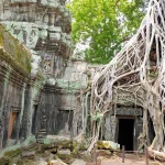 Tempio Ta Prohm con le iconiche radici di alberi secolari
